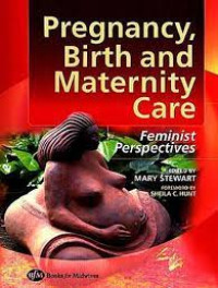 Image of Pregrancy, Birth and Maternity Care : Feminist Perspectives
